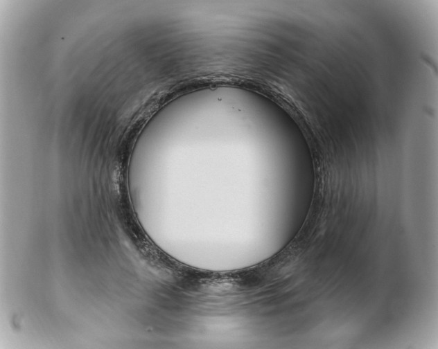 X0000103280643200808291046