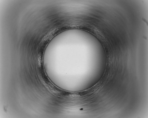 X0000103280644200808291046