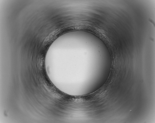 X0000103280645200808291047
