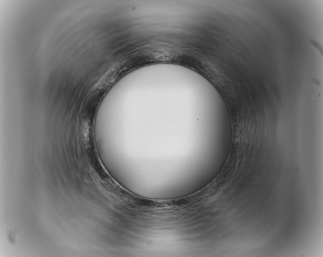 X0000103280646200808291047