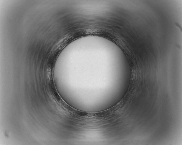 X0000103280648200808291047