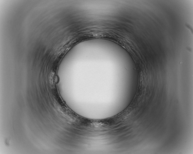 X0000103280650200808291047
