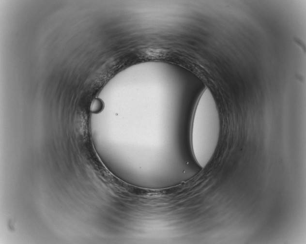 X0000103280651200808291047