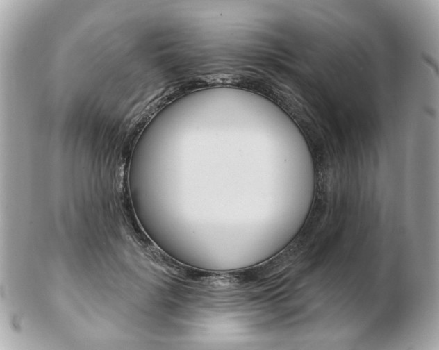 X0000103280652200808291047