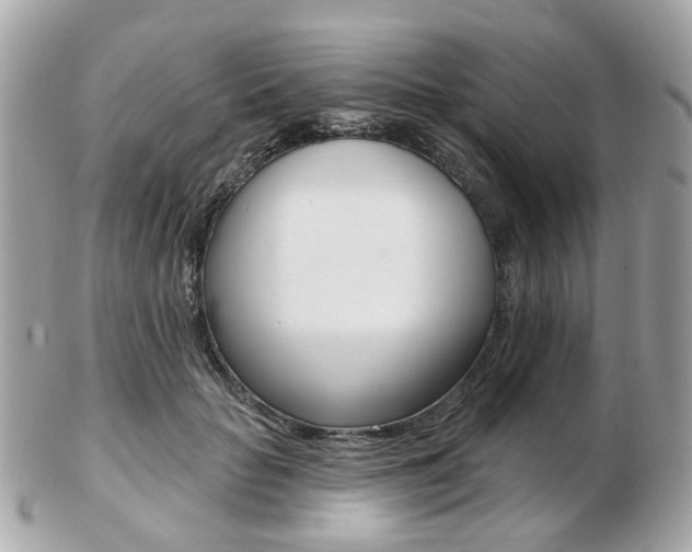X0000103280653200808291047