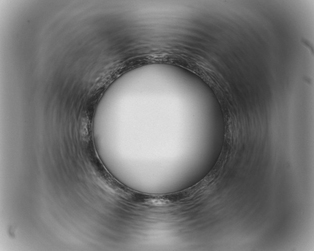 X0000103280654200808291047