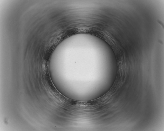X0000103280655200808291047