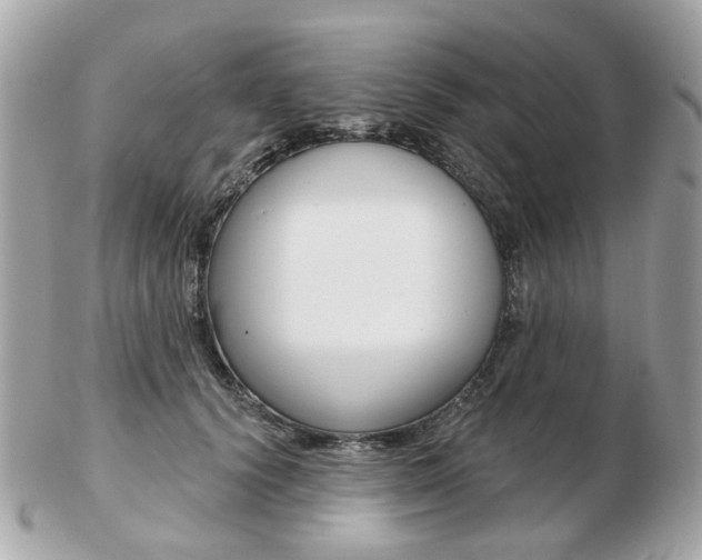 X0000103280656200808291047