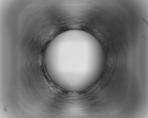 X0000103280658200808291047