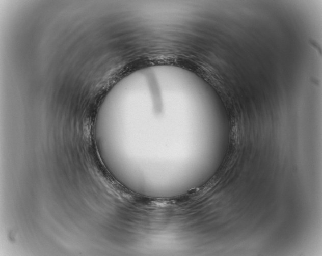 X0000103280662200808291047