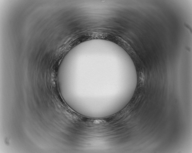 X0000103280663200808291047