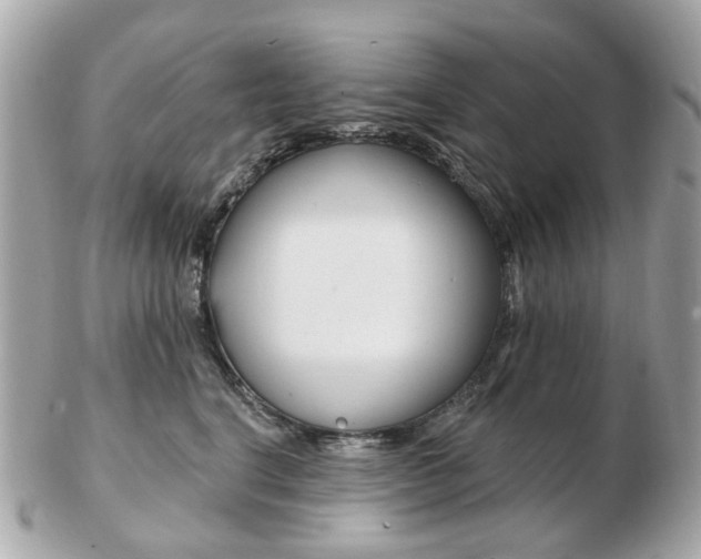 X0000103280664200808291047