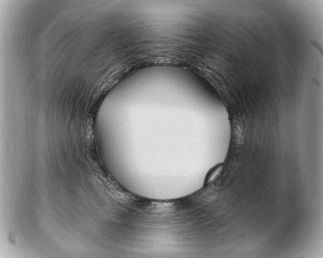 X0000103280665200808291047
