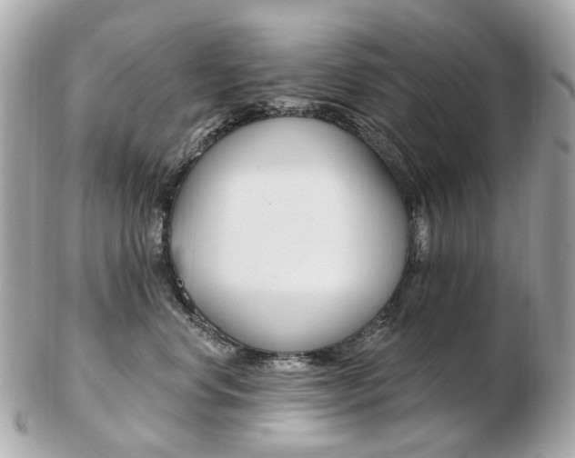 X0000103280668200808291047