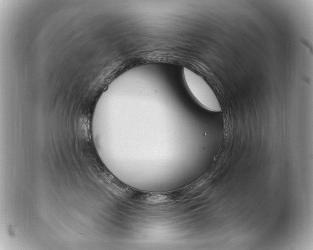 X0000103280669200808291047