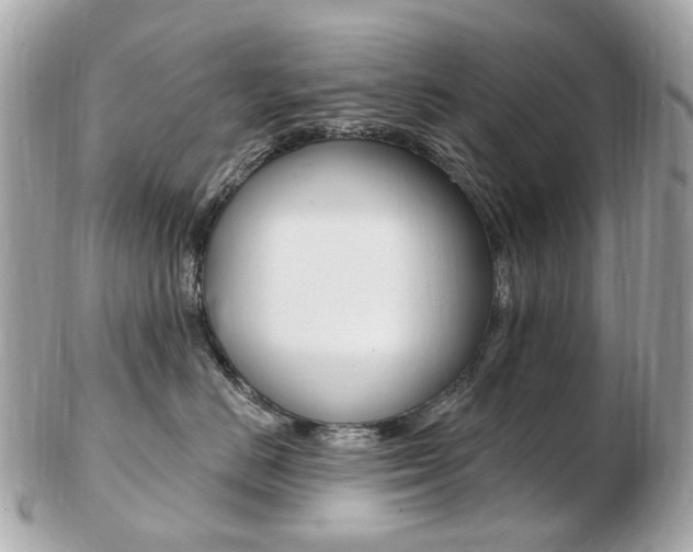 X0000103280670200808291047