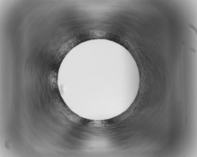 X0000103280672200808291047
