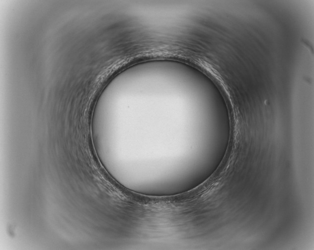 X0000103280673200808291046