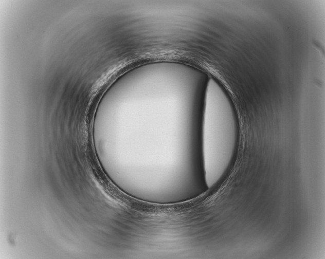 X0000103280674200808291046
