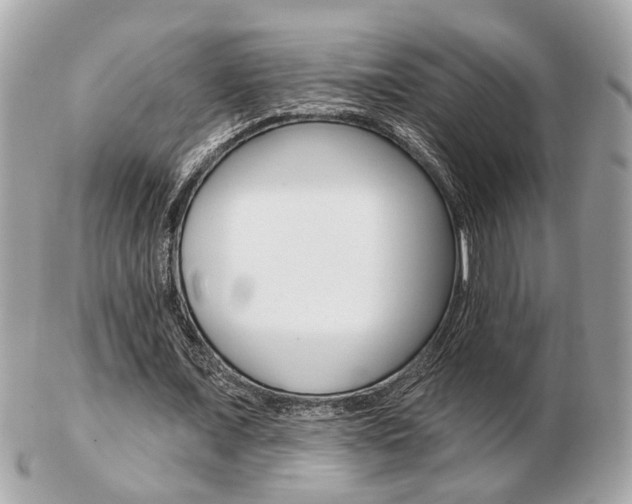 X0000103280675200808291046