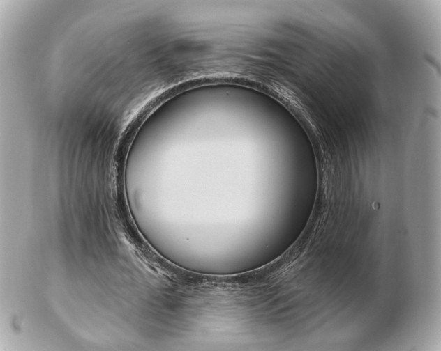 X0000103280676200808291046