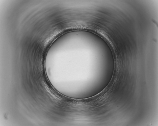X0000103280677200808291046