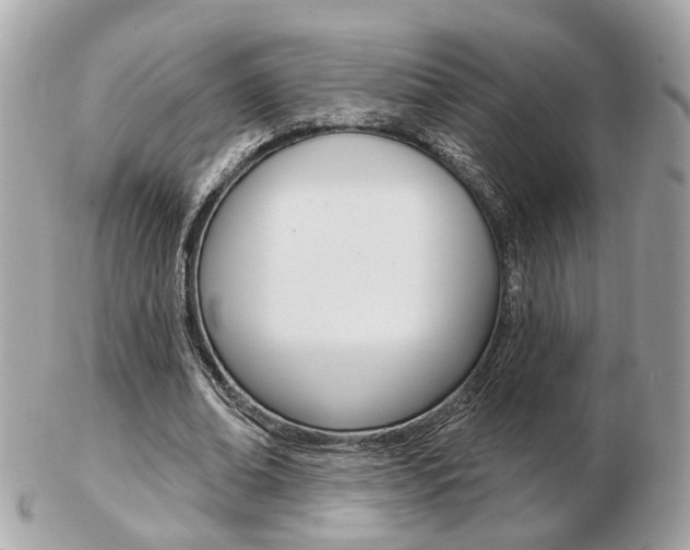 X0000103280678200808291046