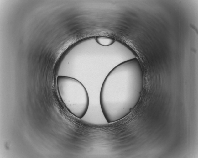 X0000103280679200808291046