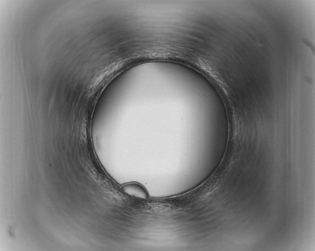 X0000103280681200808291046