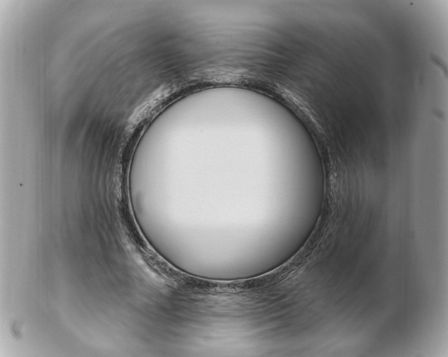 X0000103280682200808291046