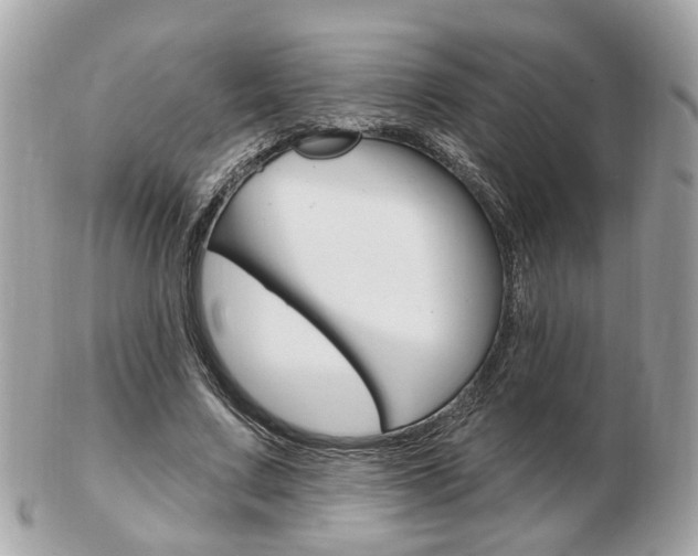 X0000103280683200808291046