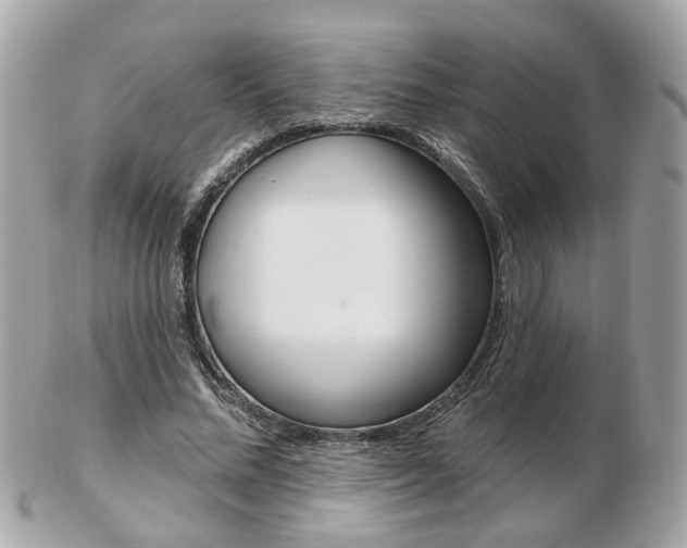 X0000103280684200808291046