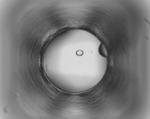 X0000103280685200808291046