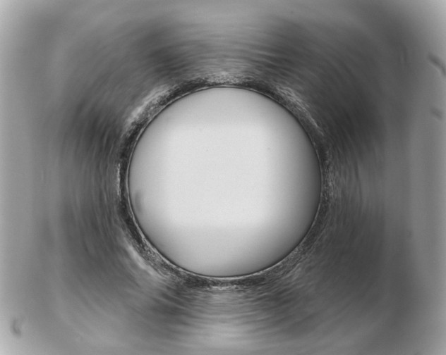 X0000103280686200808291046