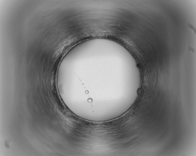 X0000103280687200808291046