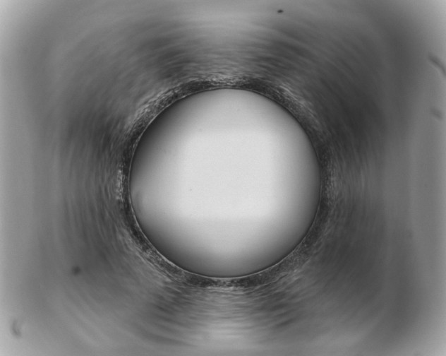X0000103280689200808291046