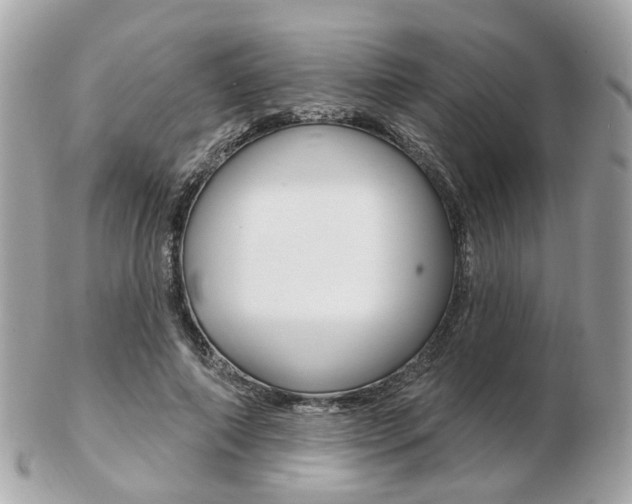 X0000103280690200808291046