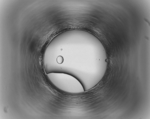 X0000103280691200808291046