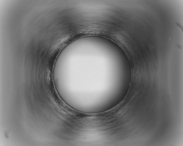 X0000103280692200808291046