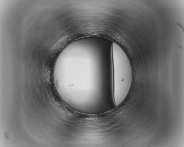 X0000103280693200808291046