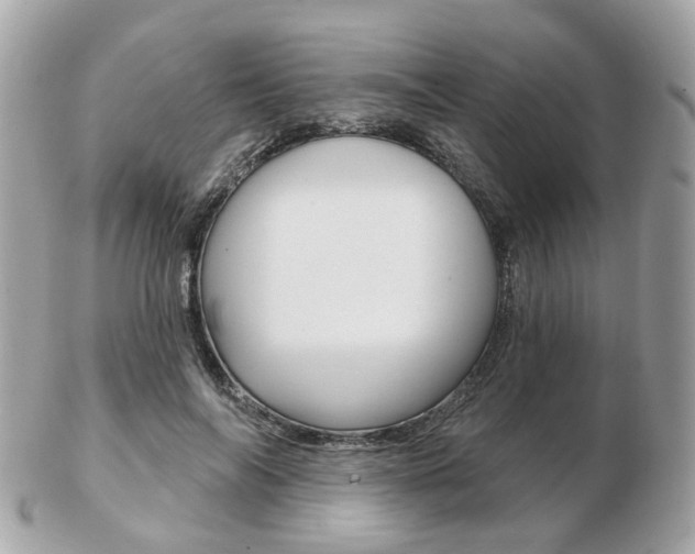 X0000103280694200808291046