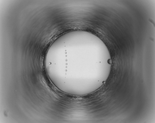 X0000103280695200808291046