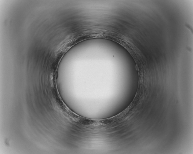 X0000103280696200808291046