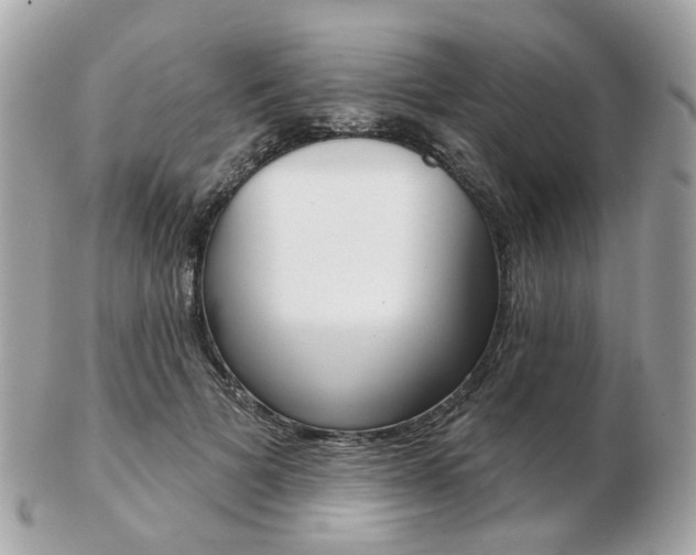X0000103280697200808291046