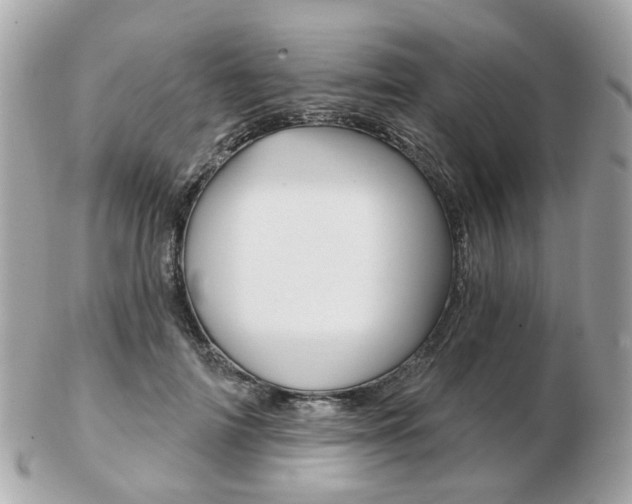 X0000103280698200808291046