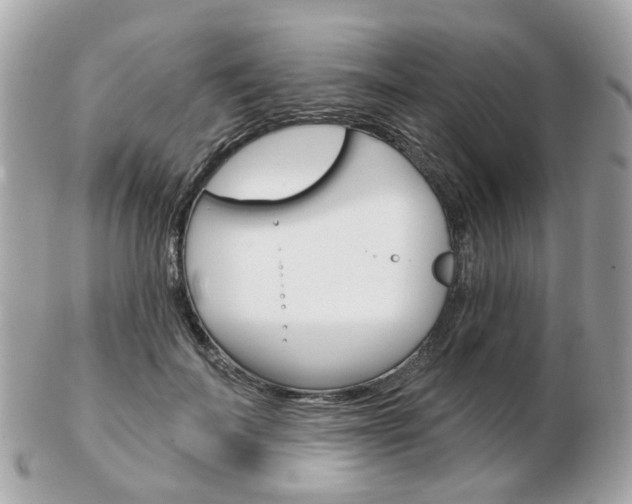 X0000103280699200808291046