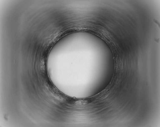 X0000103280700200808291046