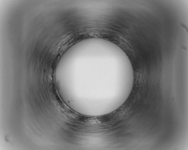 X0000103280702200808291046