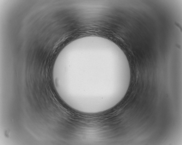 X0000103280705200808291046