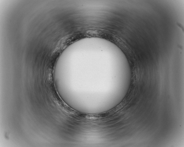 X0000103280706200808291046